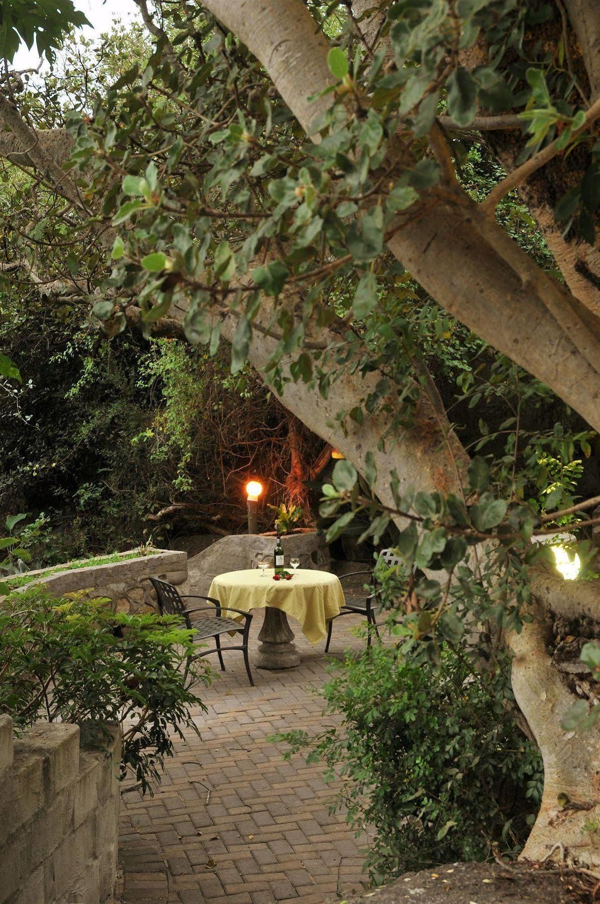 Sunset Manor Bed and Breakfast Νέλσπρουιτ Εξωτερικό φωτογραφία